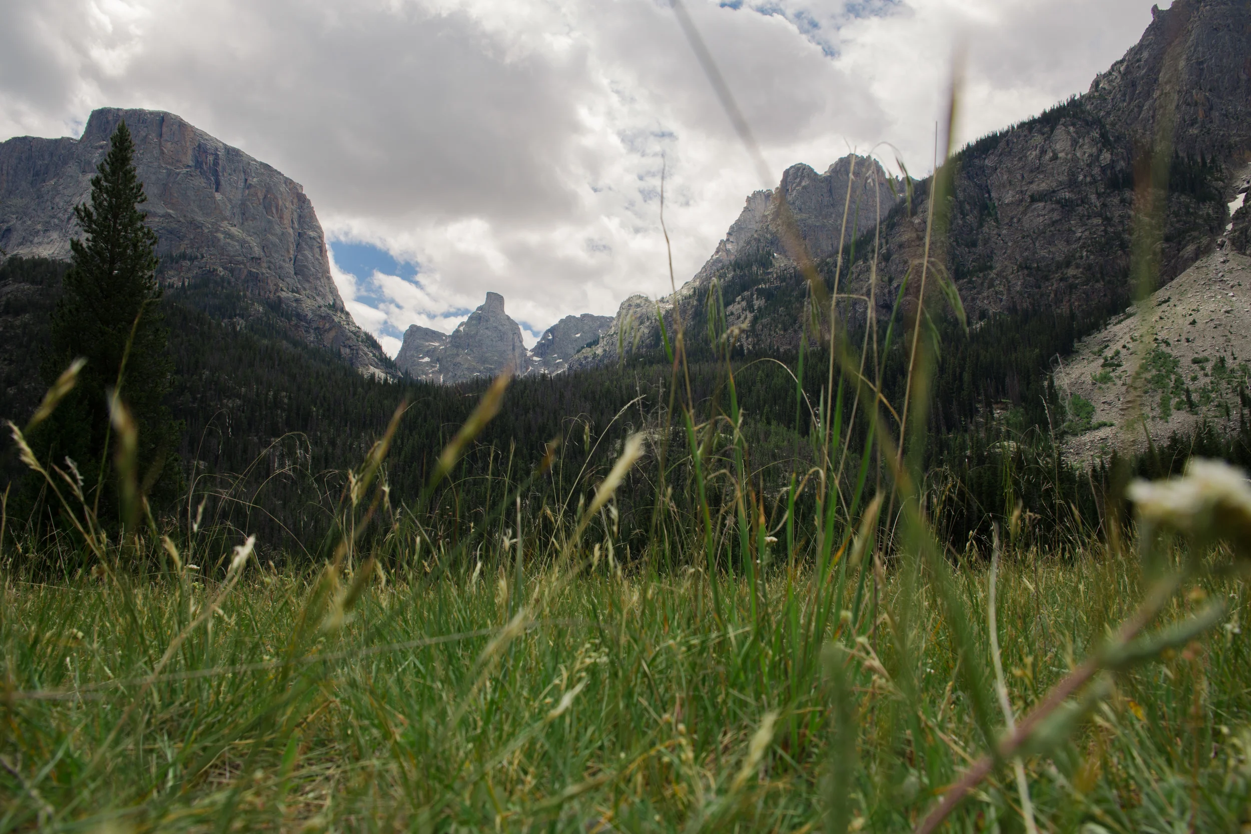 wilderness-97.jpg