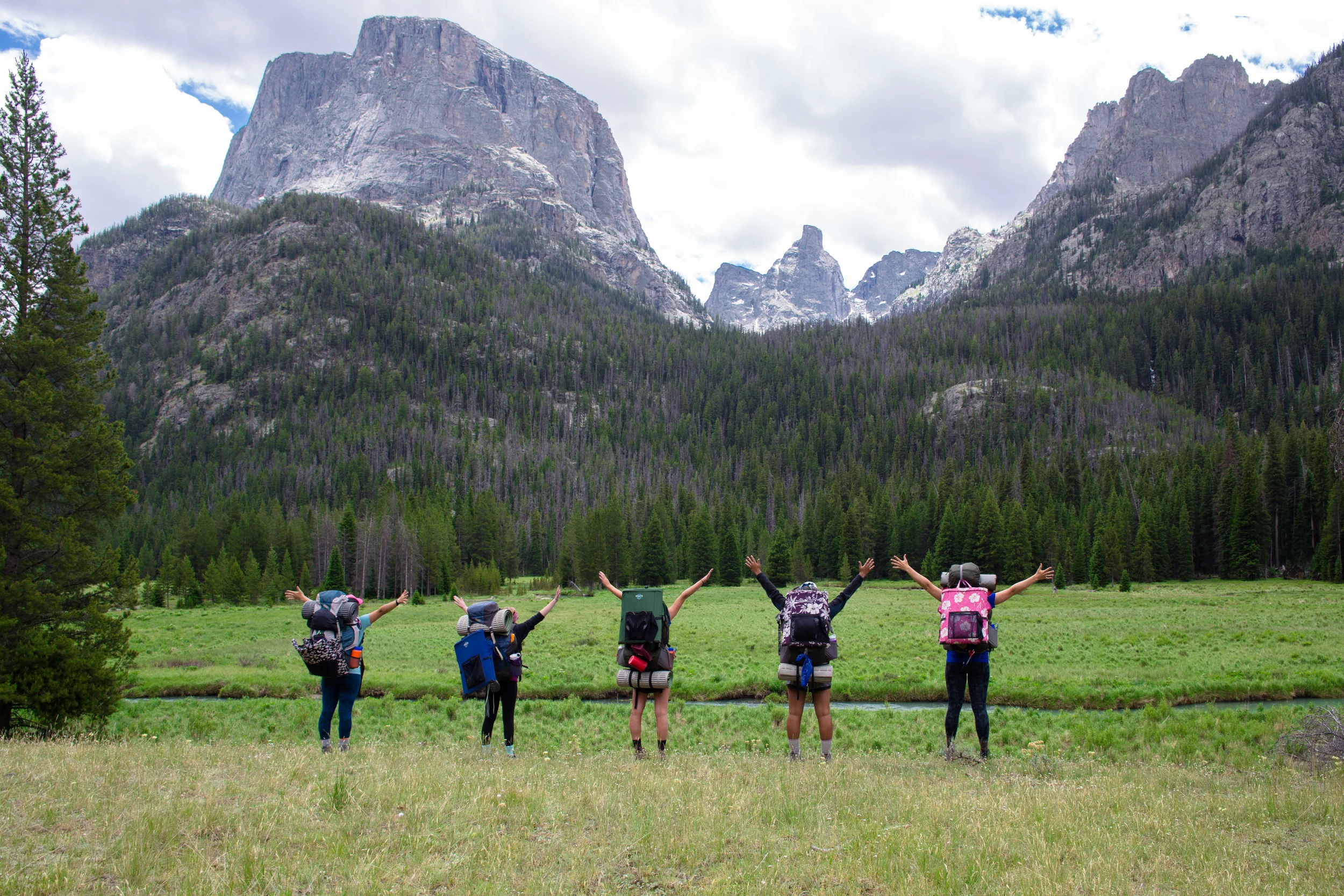 wilderness-104.jpg