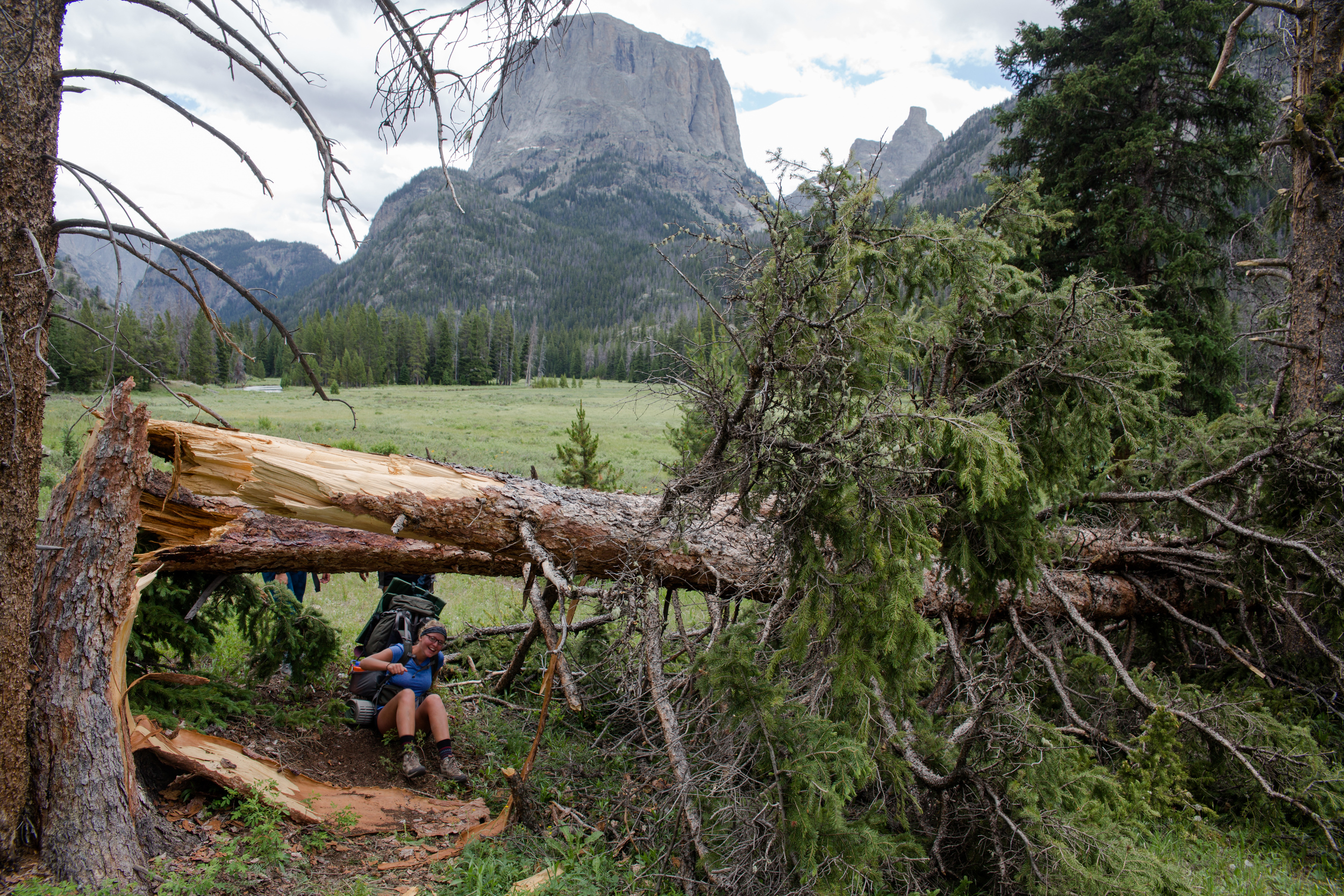 wilderness-107.jpg