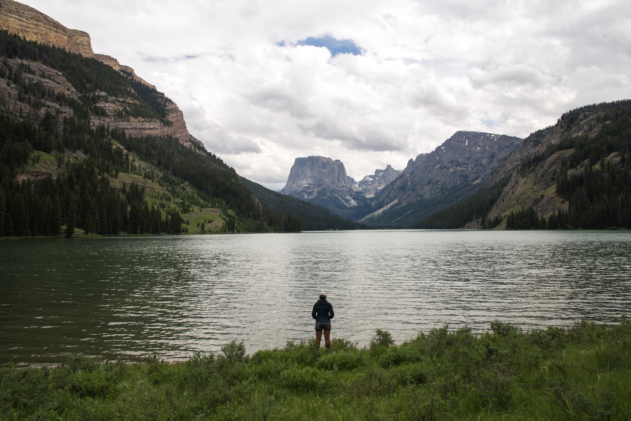 wilderness-108.jpg