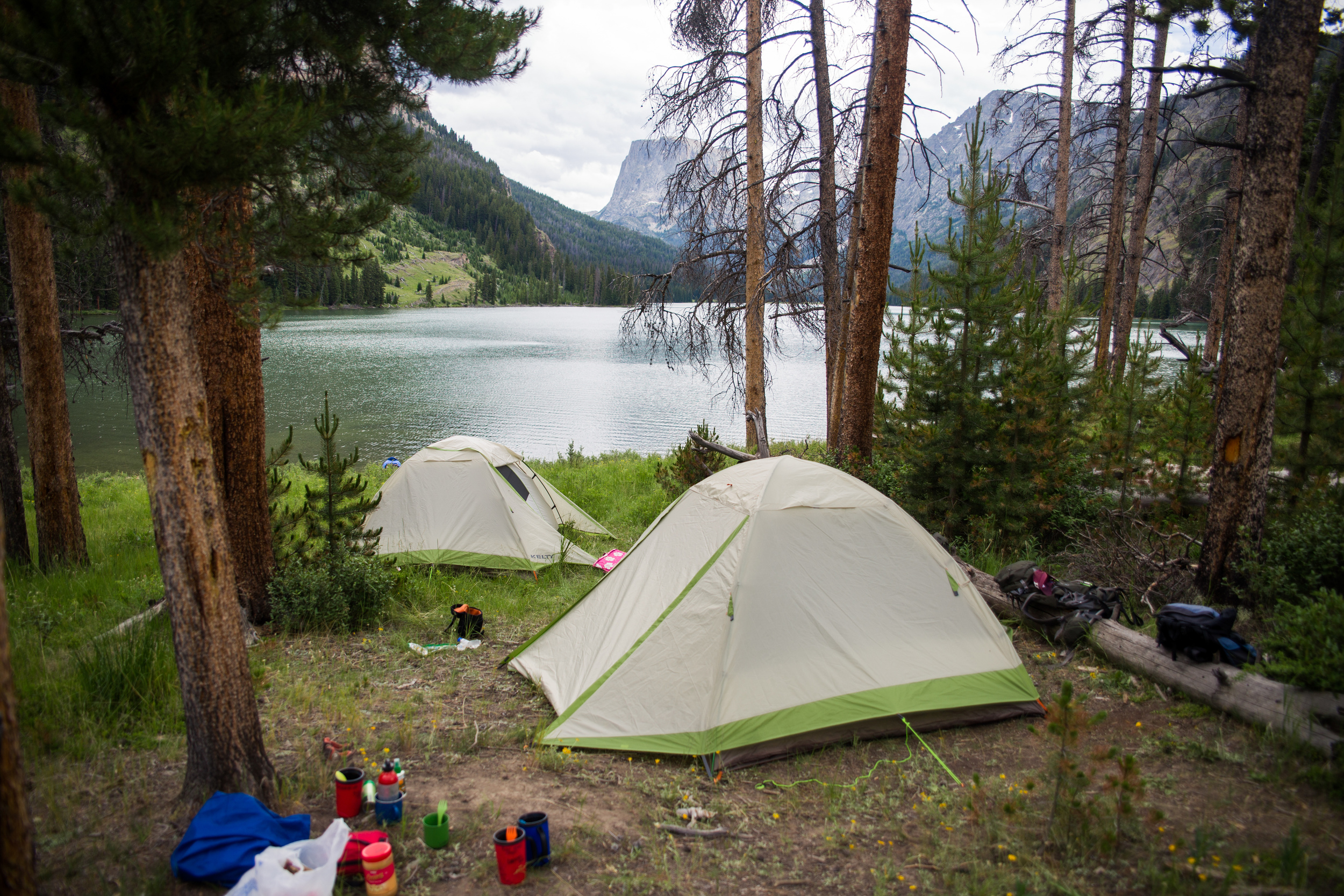 wilderness-109.jpg