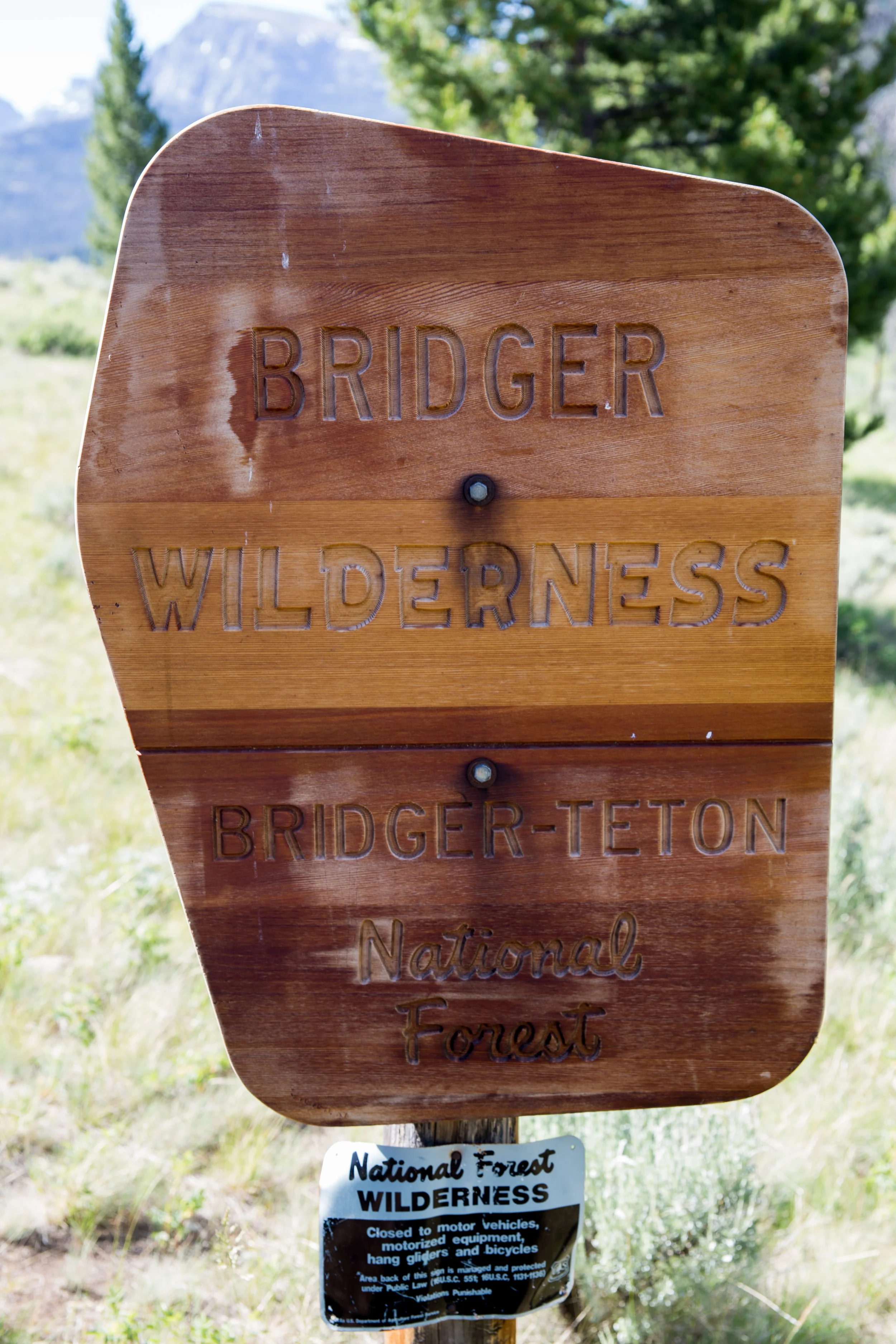 wilderness-115.jpg