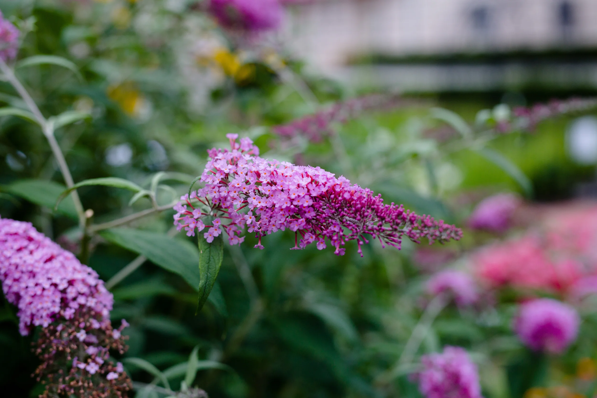 LindyBeth Photography-192.jpg