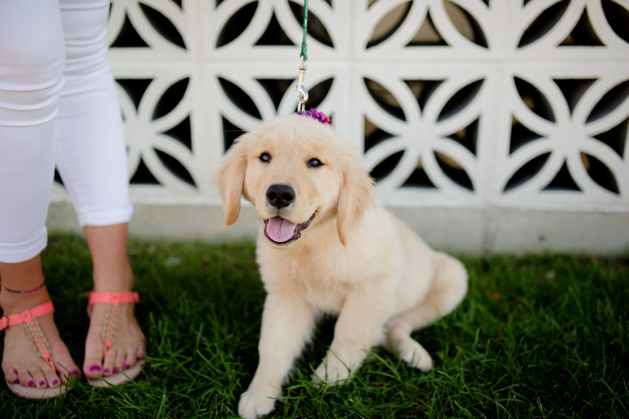 lindybeth photography-5.jpg