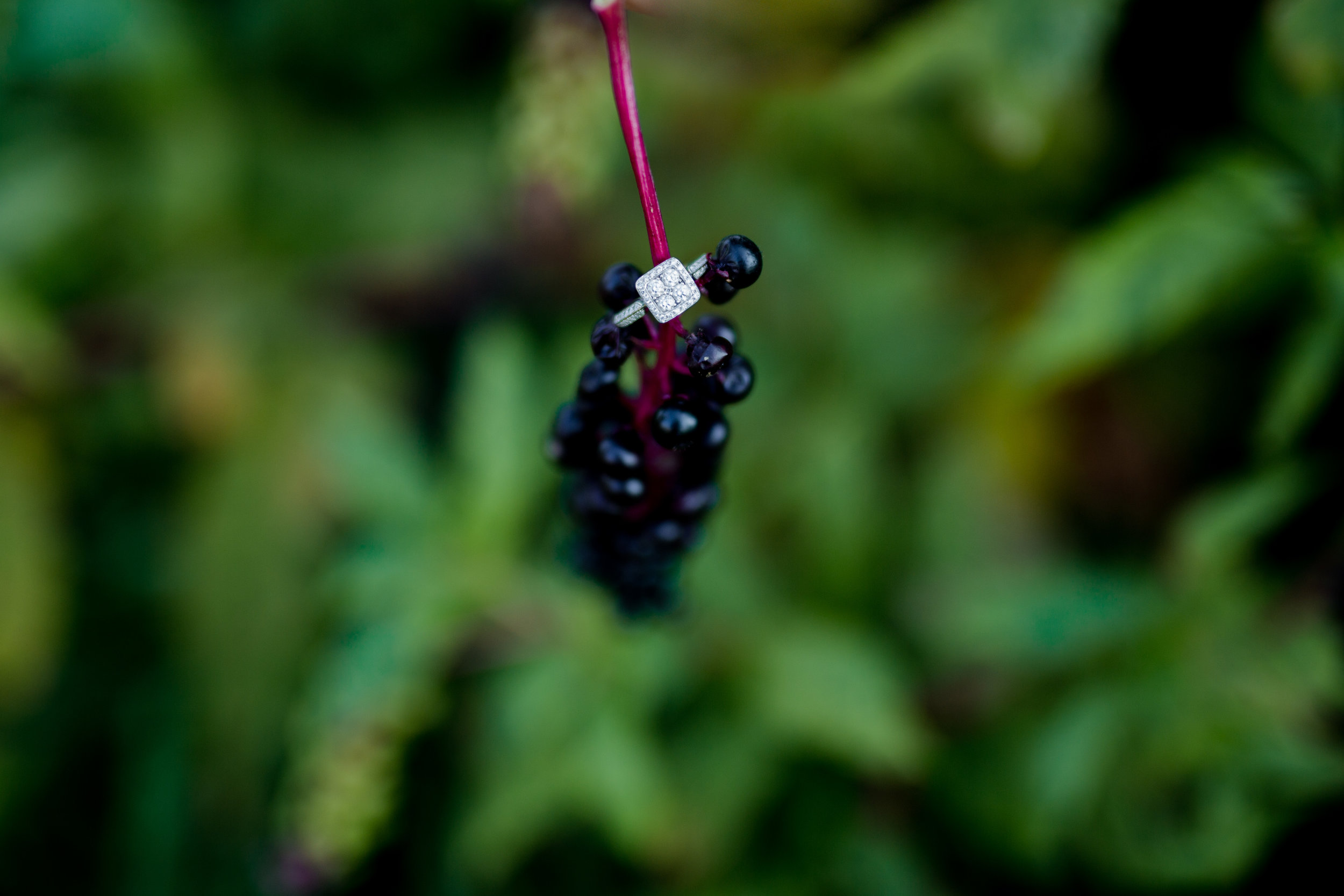 lindybeth photography-26.jpg