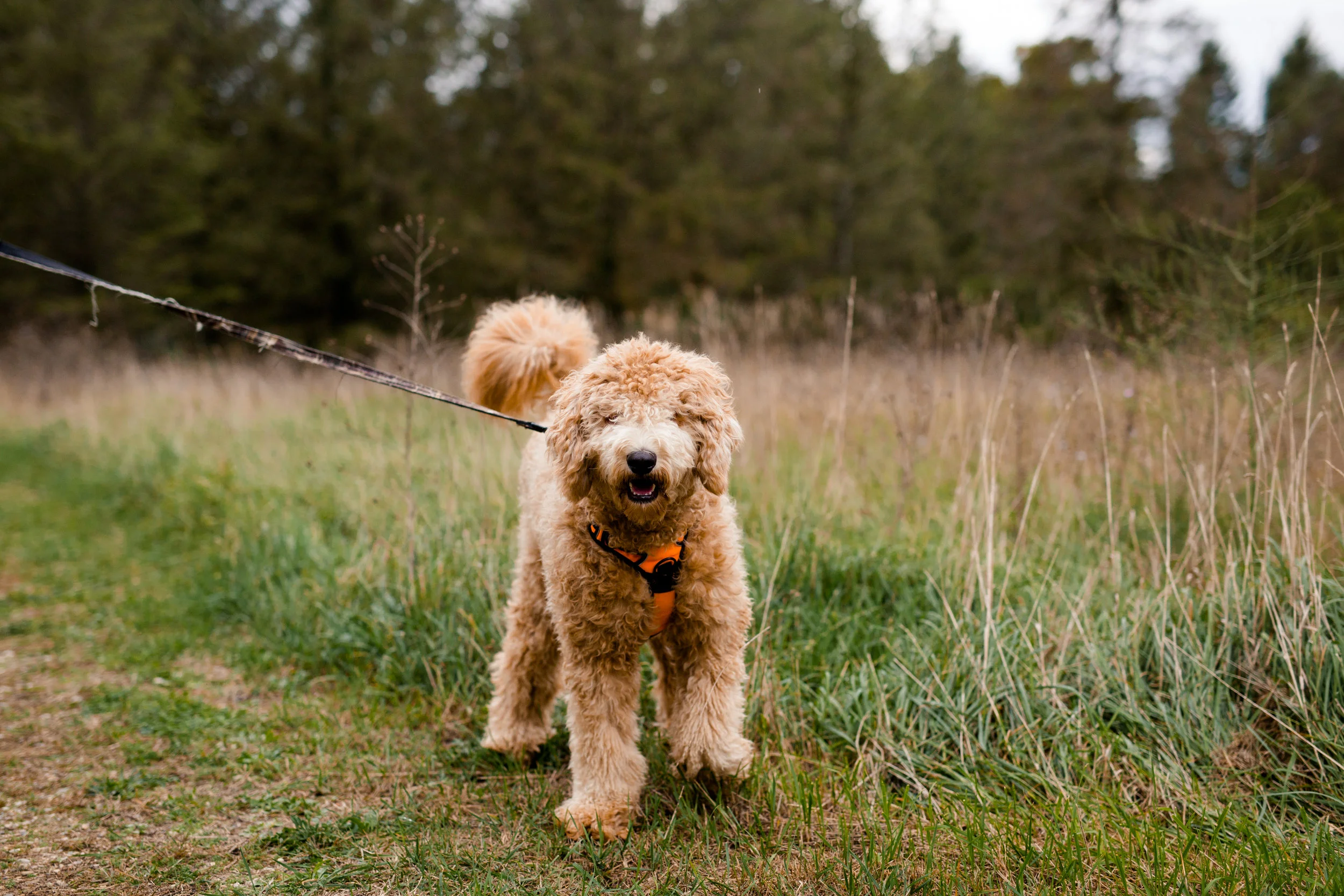 lindybeth photography-13.jpg