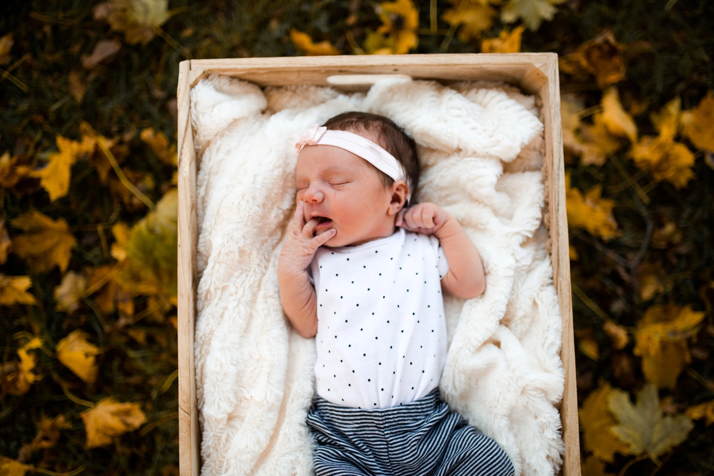 lindybeth photography-44.jpg