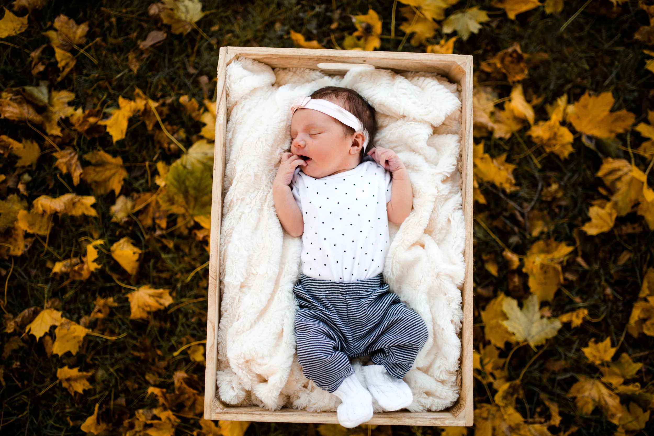 lindybeth photography-45.jpg