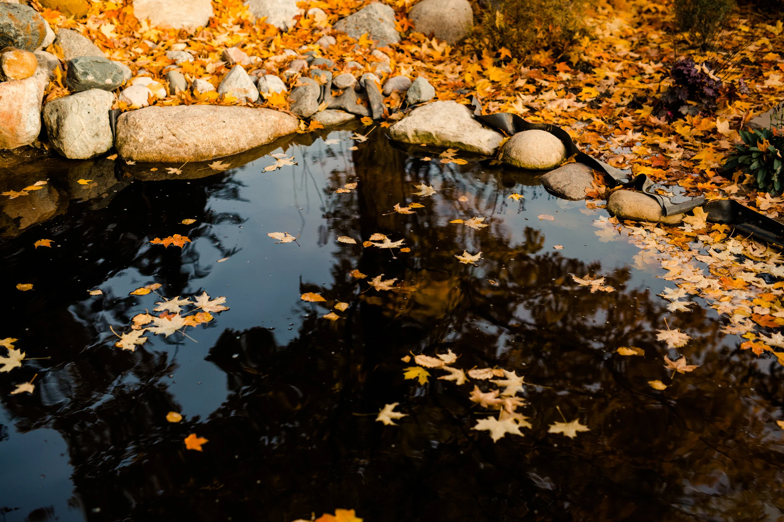 lindybeth photography-27.jpg