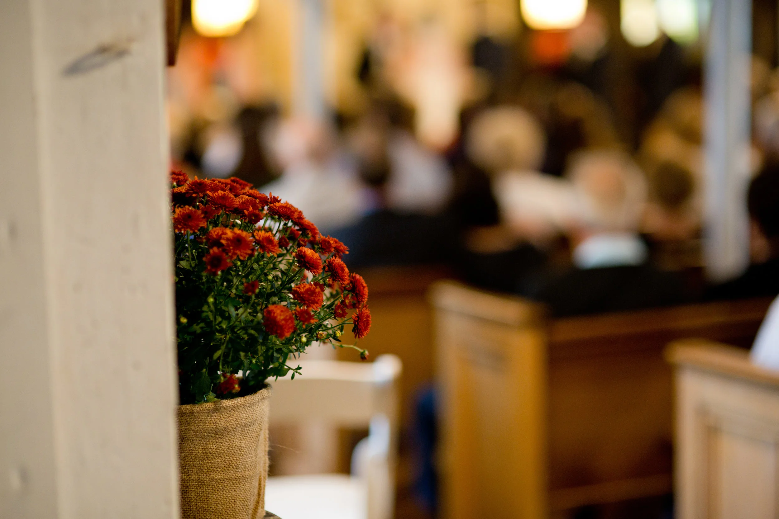 Reception -187.jpg