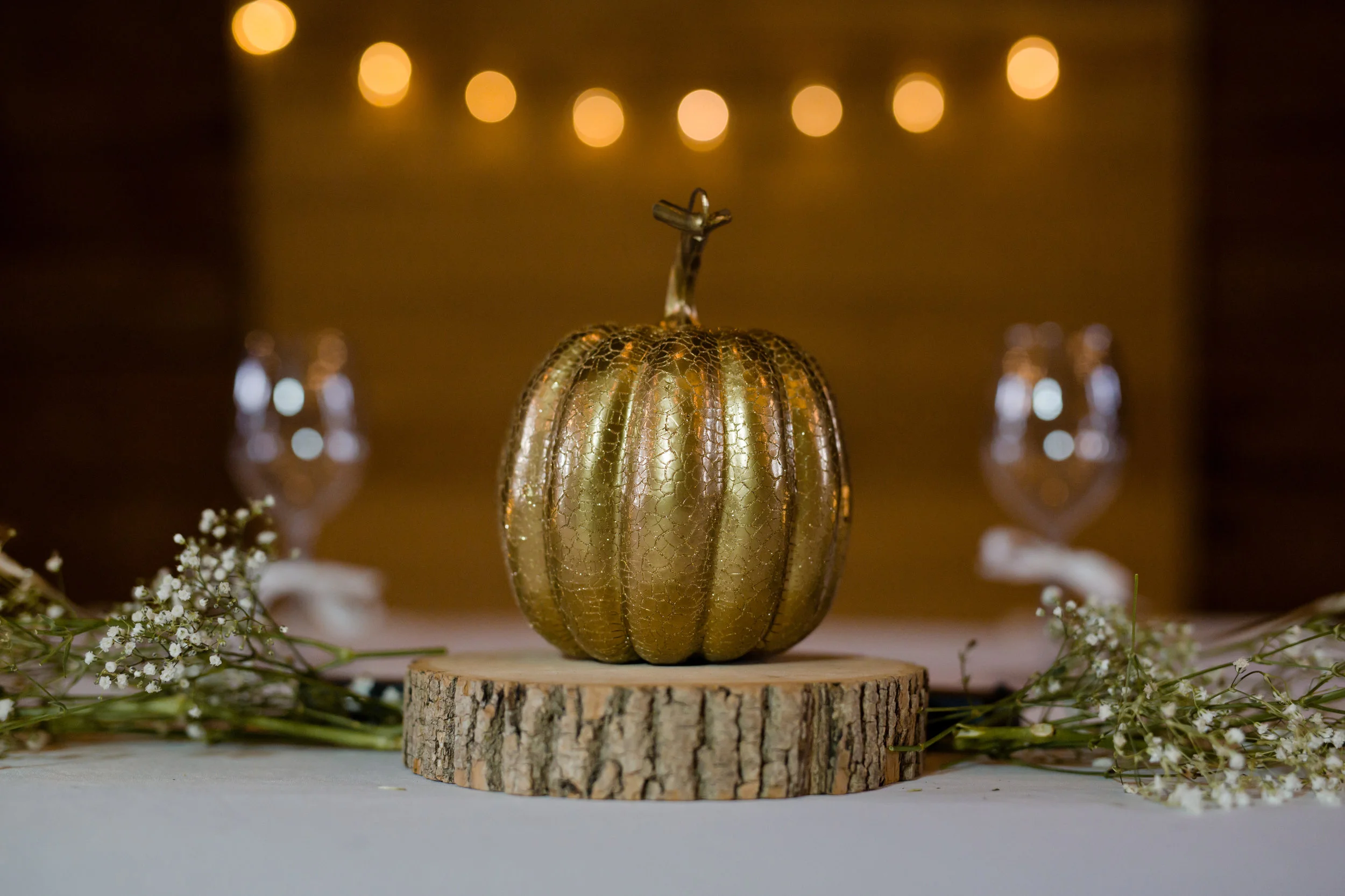 Reception -221.jpg