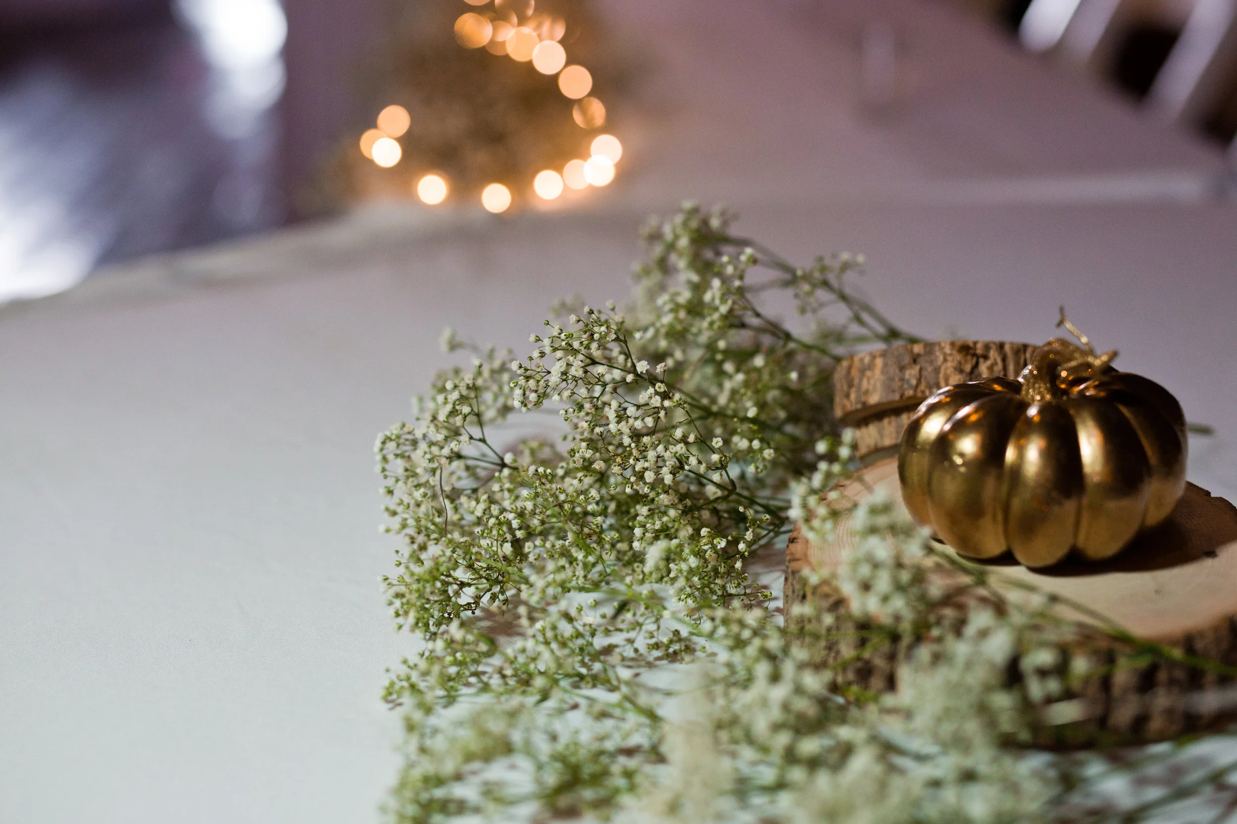 Reception -222.jpg