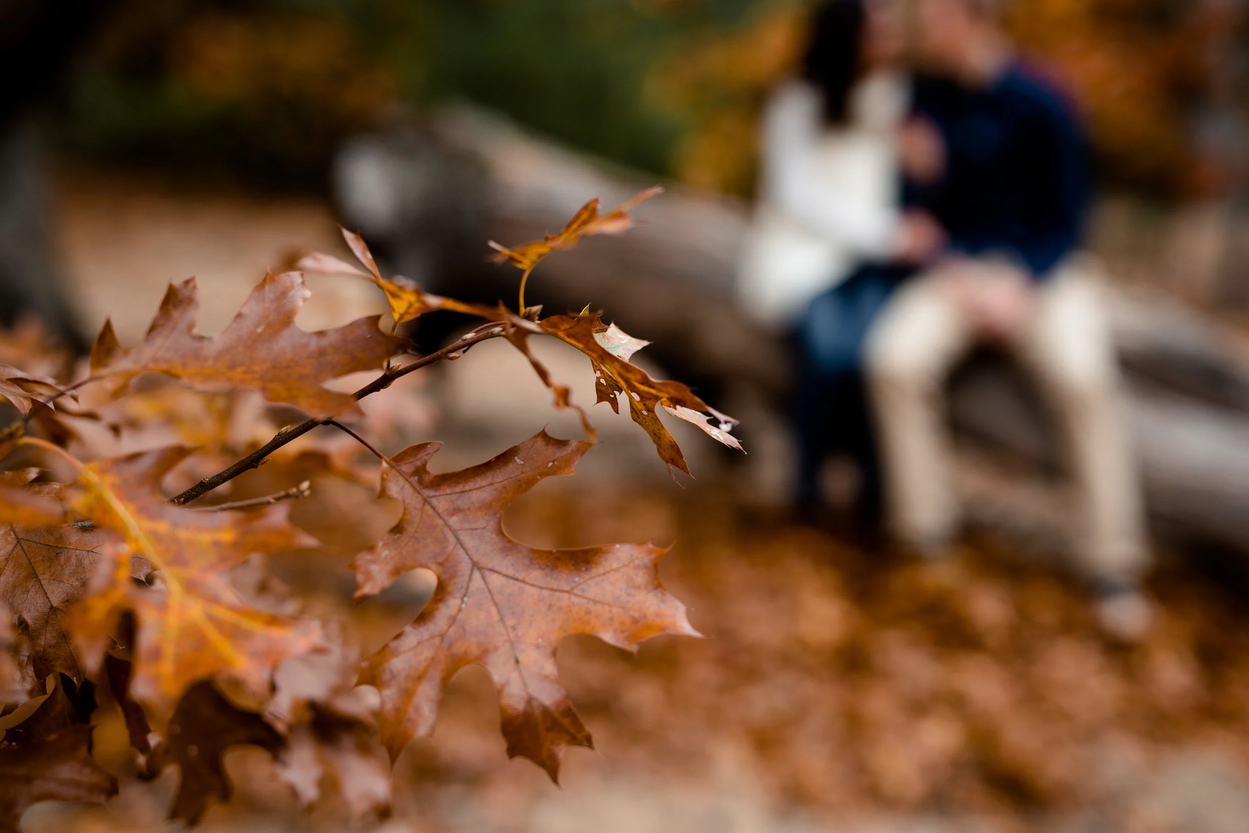 lindybeth photography-21.jpg