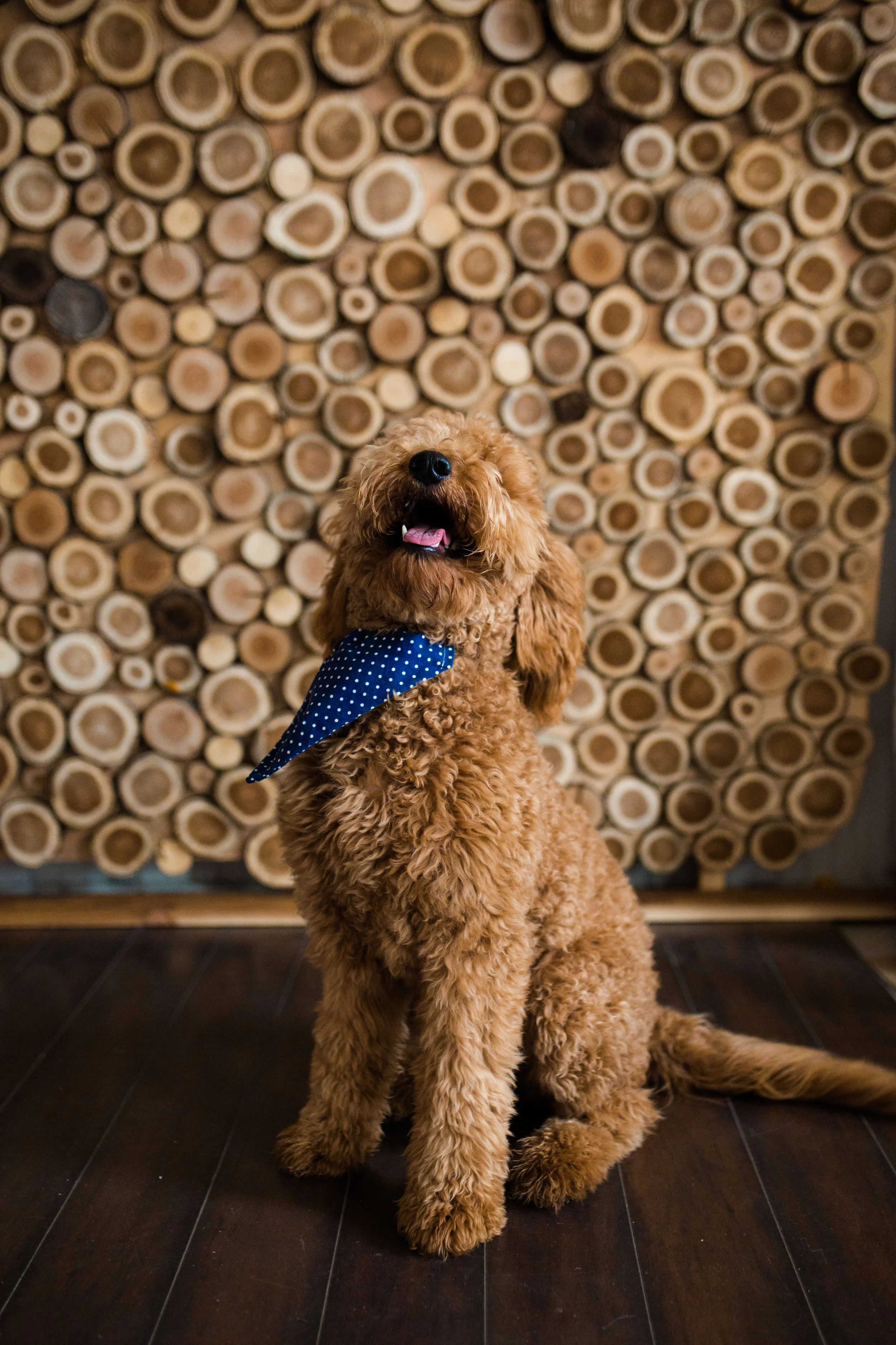 lindybeth photography-28.jpg