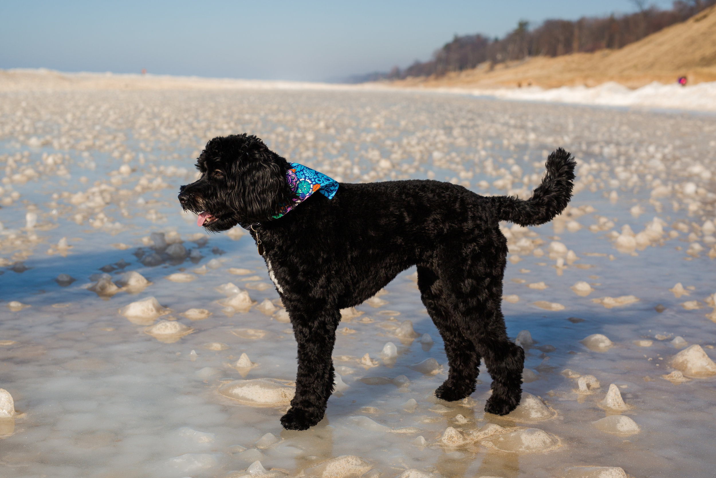 beach blog-9.jpg