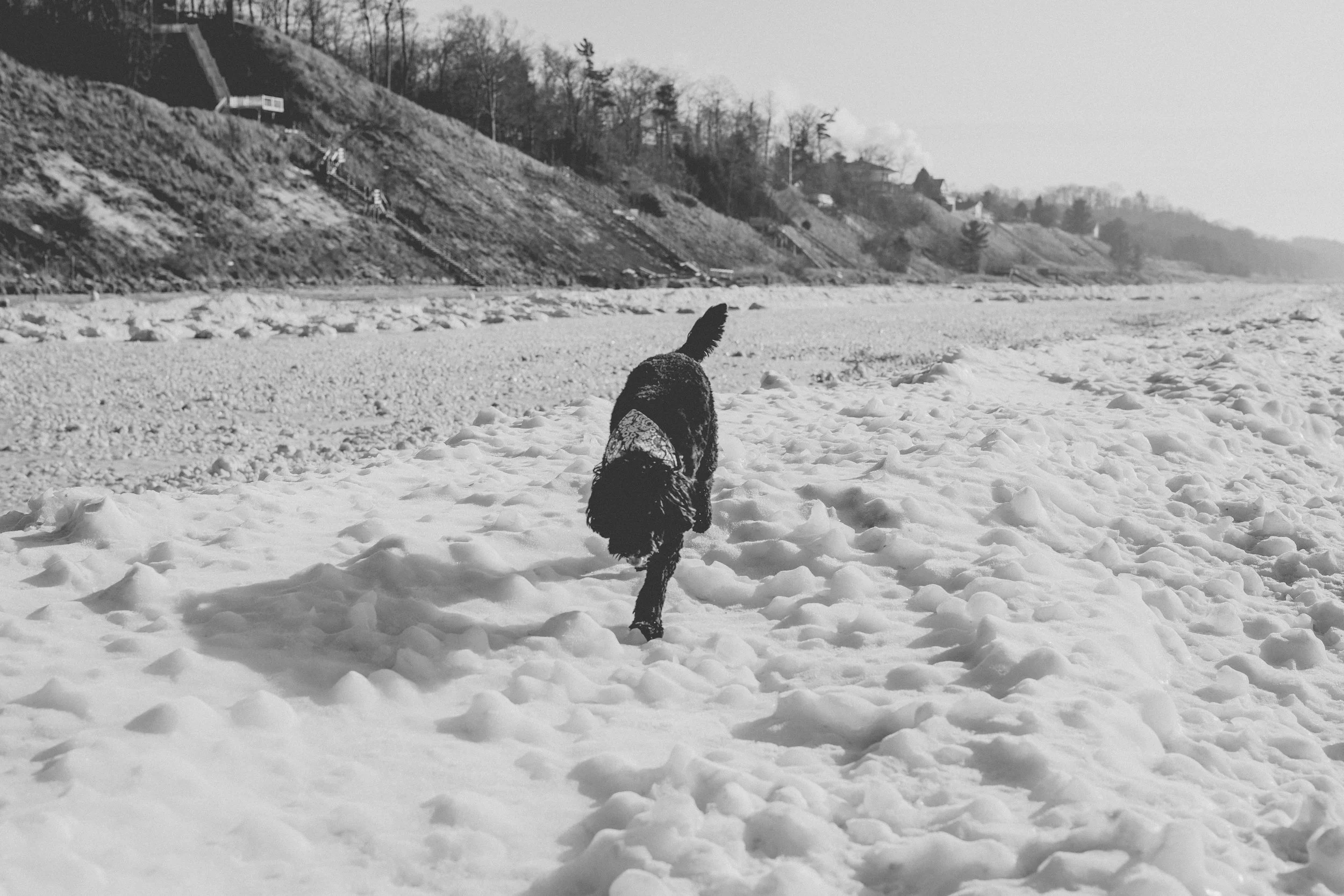 beach blog-13.jpg