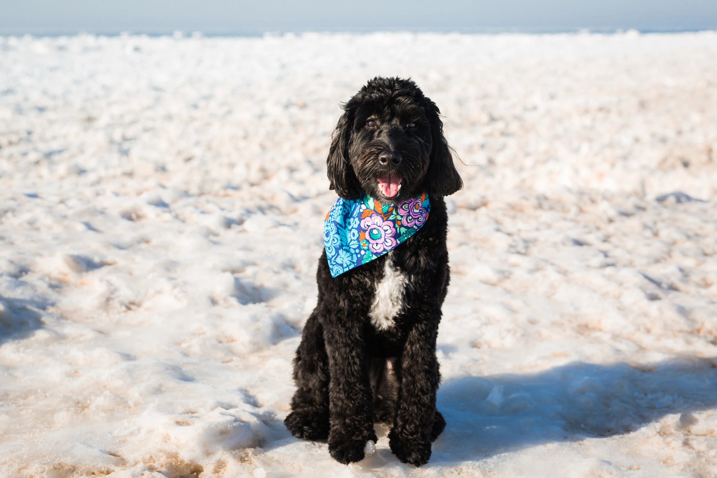 beach blog-37.jpg