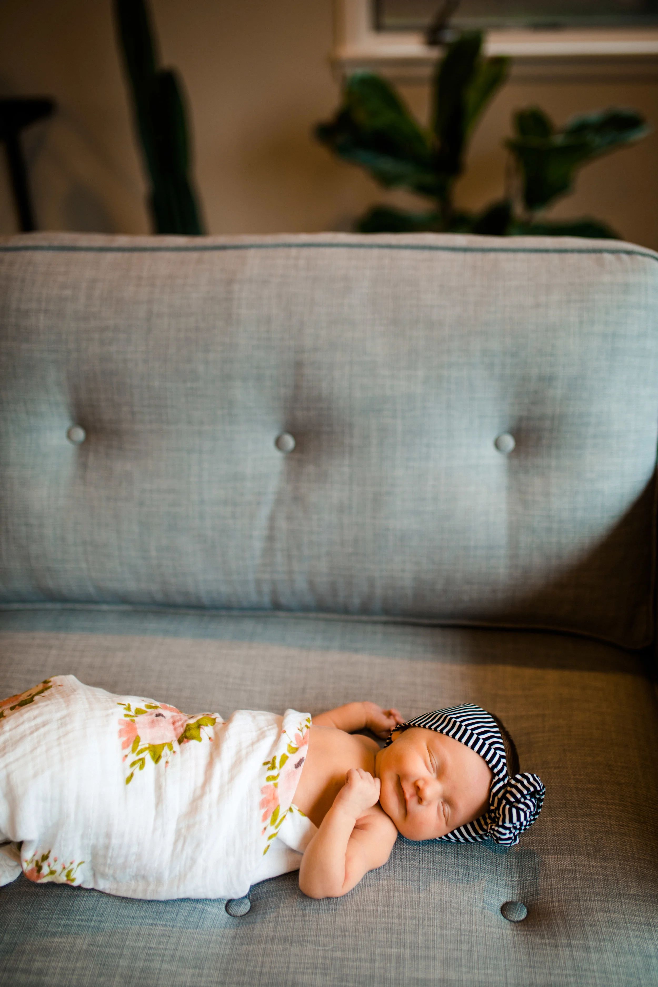 ava grace-5.jpg