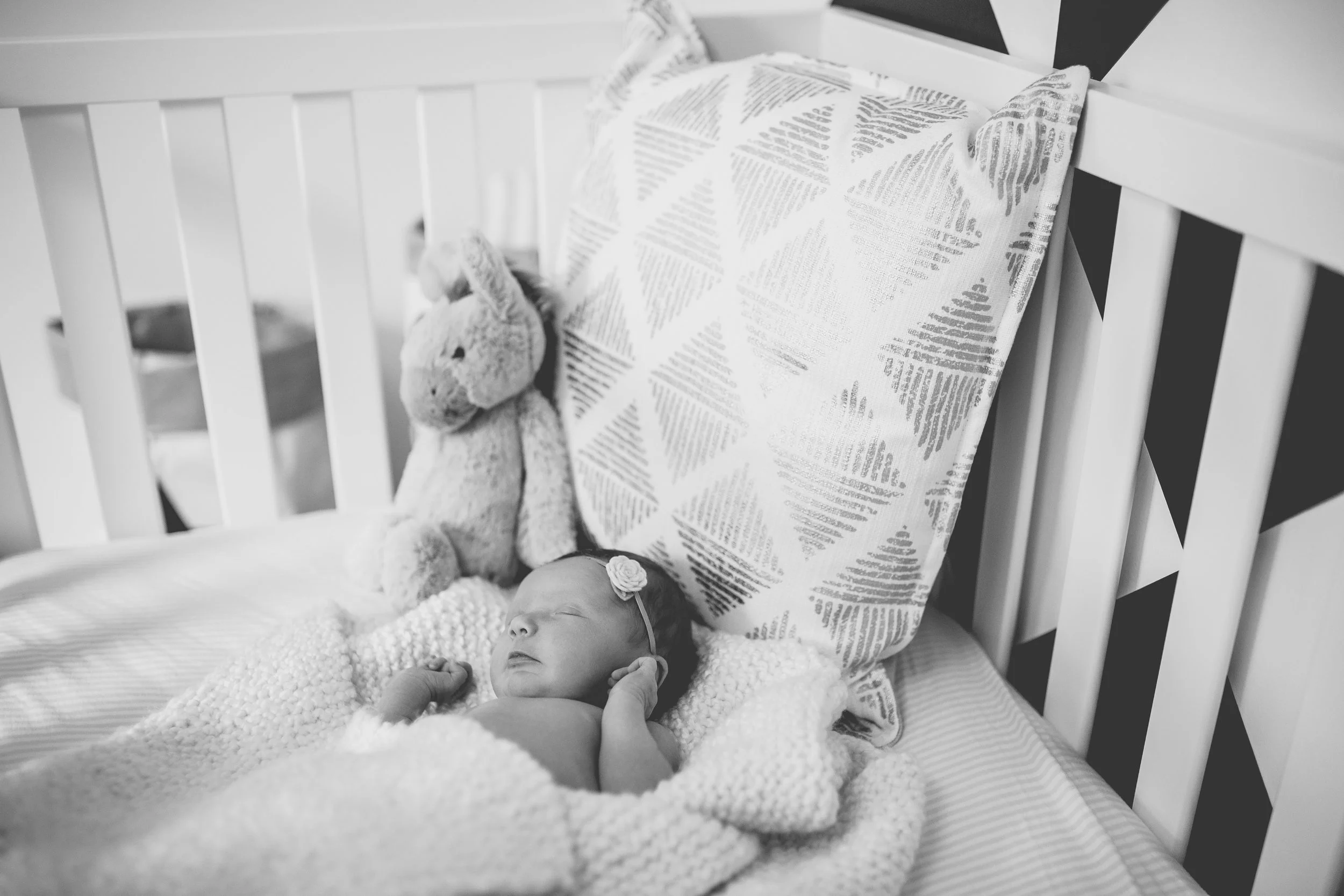 ava grace-17.jpg
