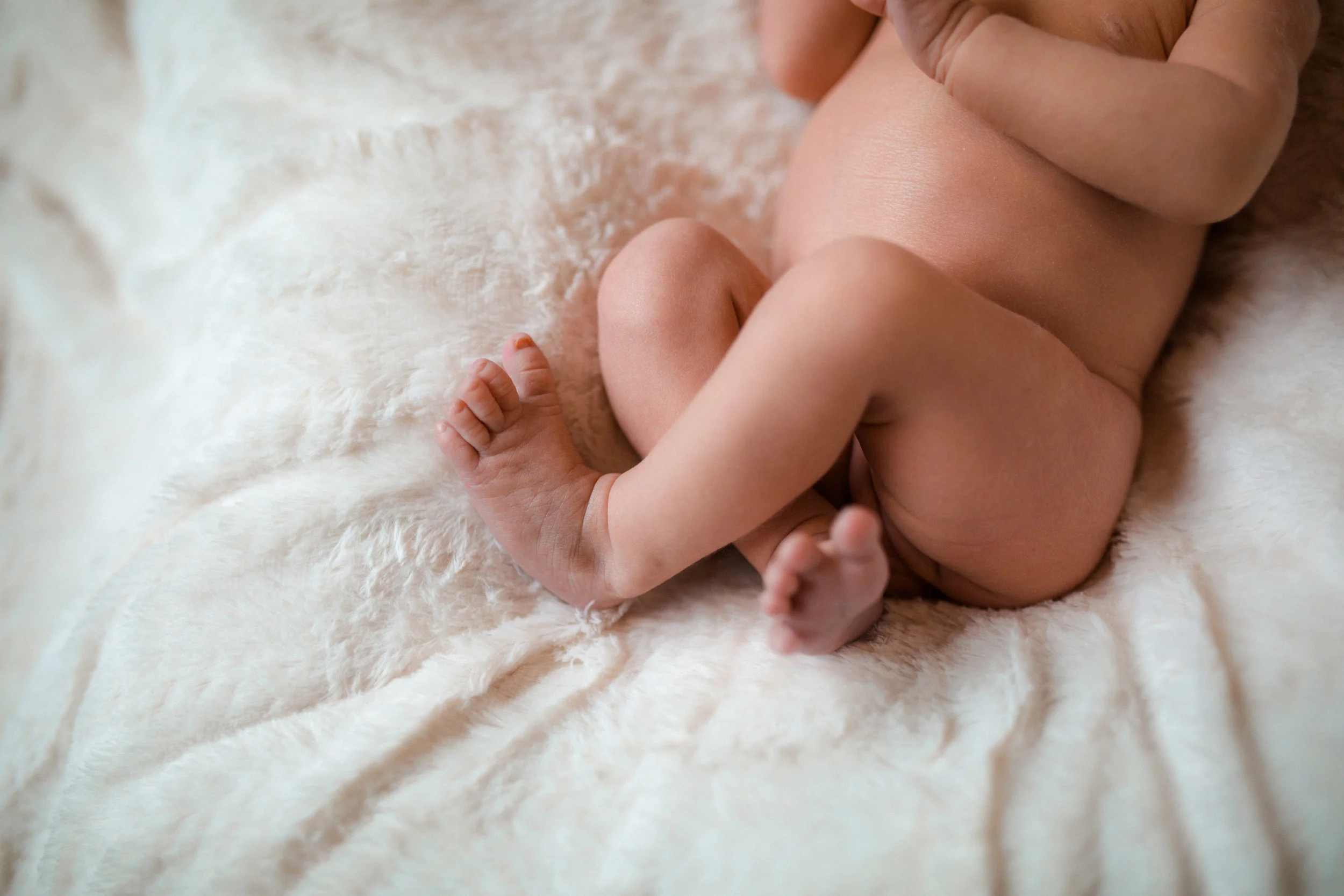 ava grace-54.jpg