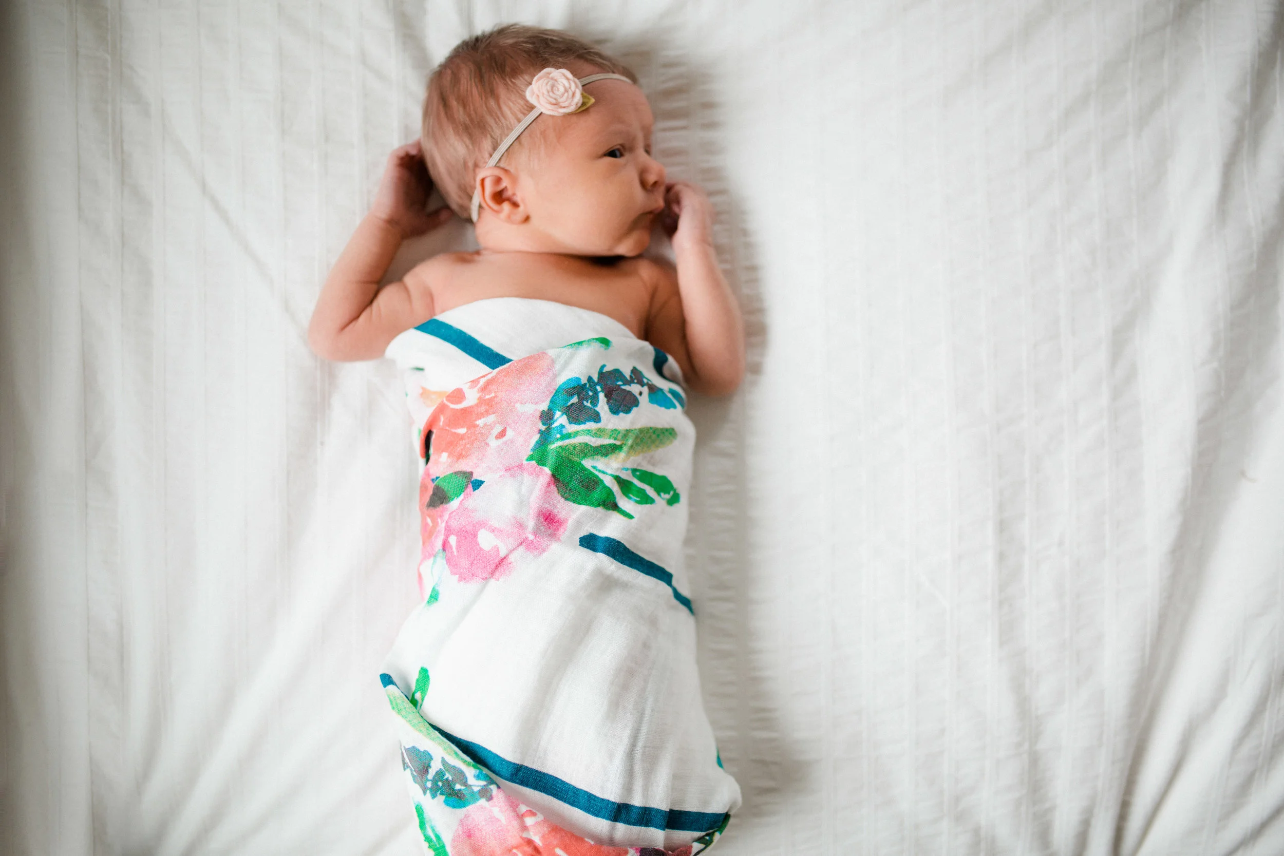 ava grace-64.jpg