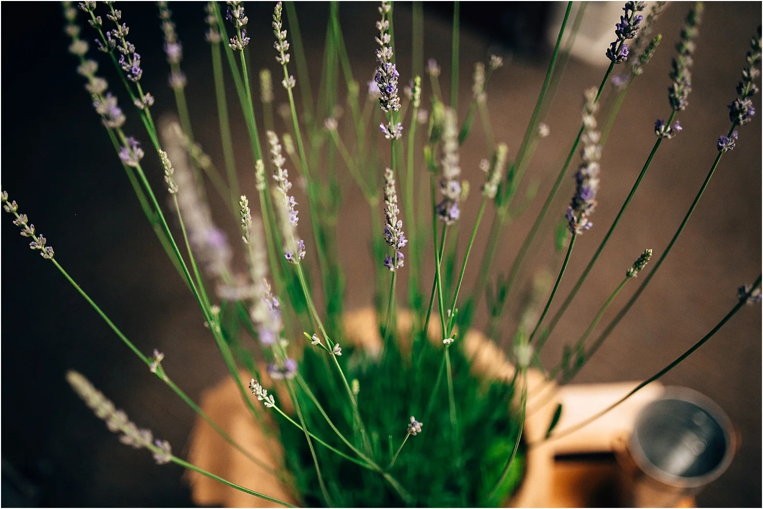 2017-08-21_0050.jpg