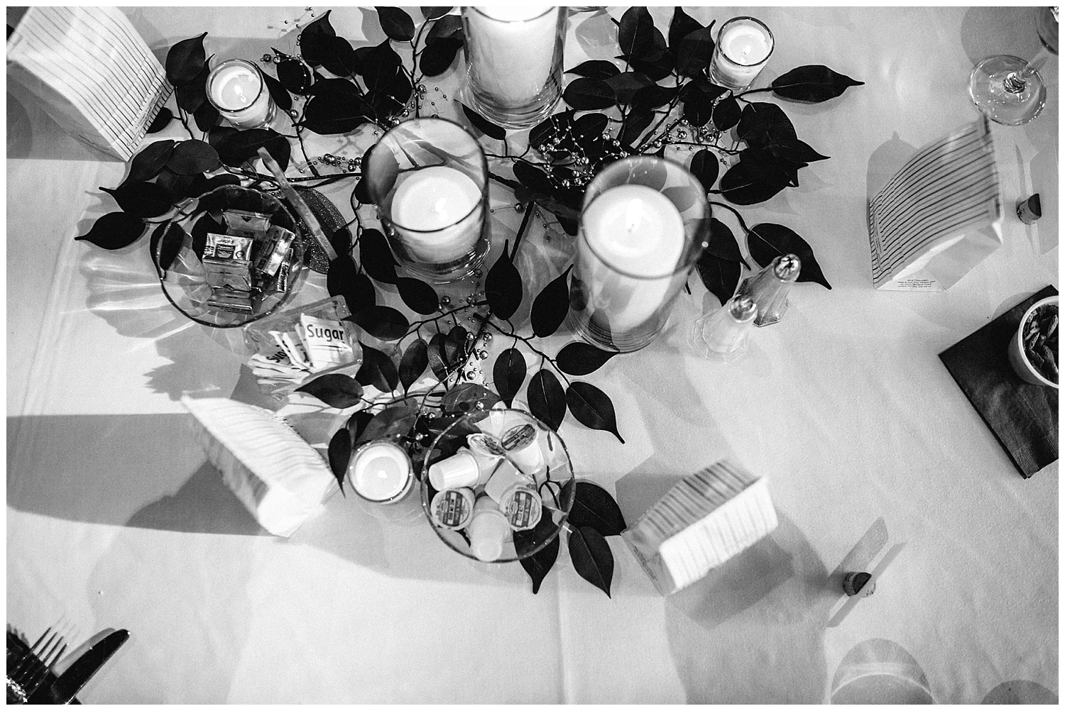 lindybethphotography_nowicki_wedding_0191.jpg