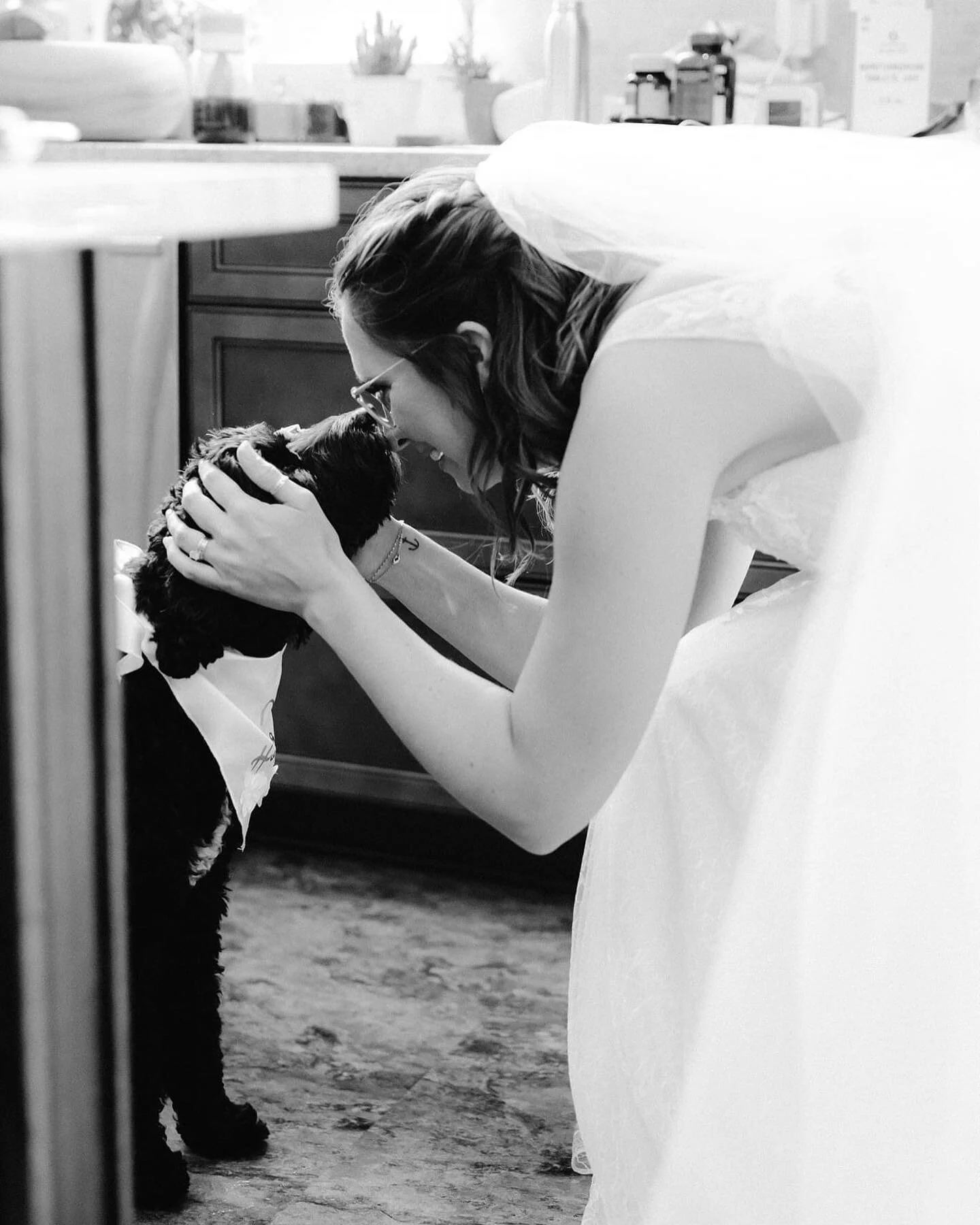 6 years of being *the best* dang pup I have ~ever~ known and loved. 🤍🖤

#hbd #milliemoodelabradoodle