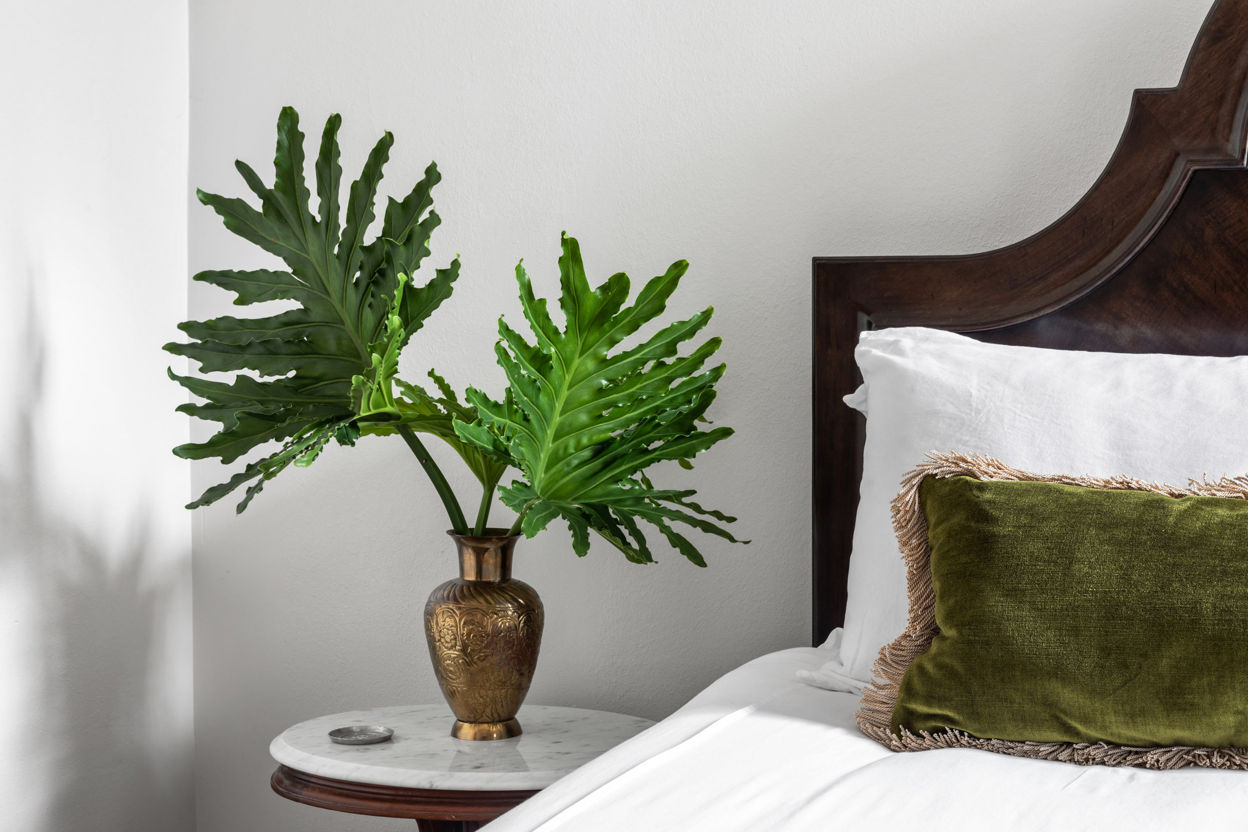photo by Jacqueline Marque, featuring our Moss Green Velvet Lumbar Pillow