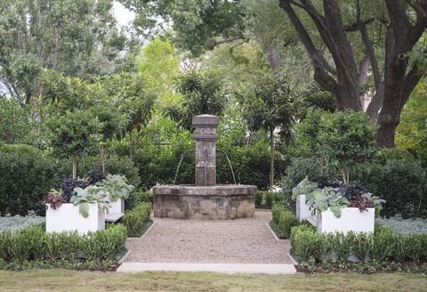  Design: “The Front Courtyard Garden”,  From The Ground Up  // Photo:  Stephen Karlisch  