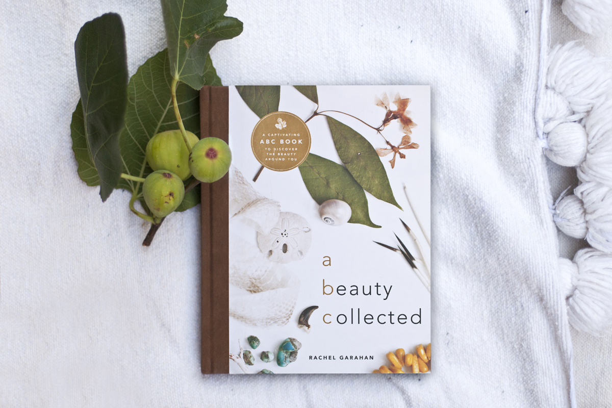 Rachel_Garahan_A_Beauty_Collected_01.jpg