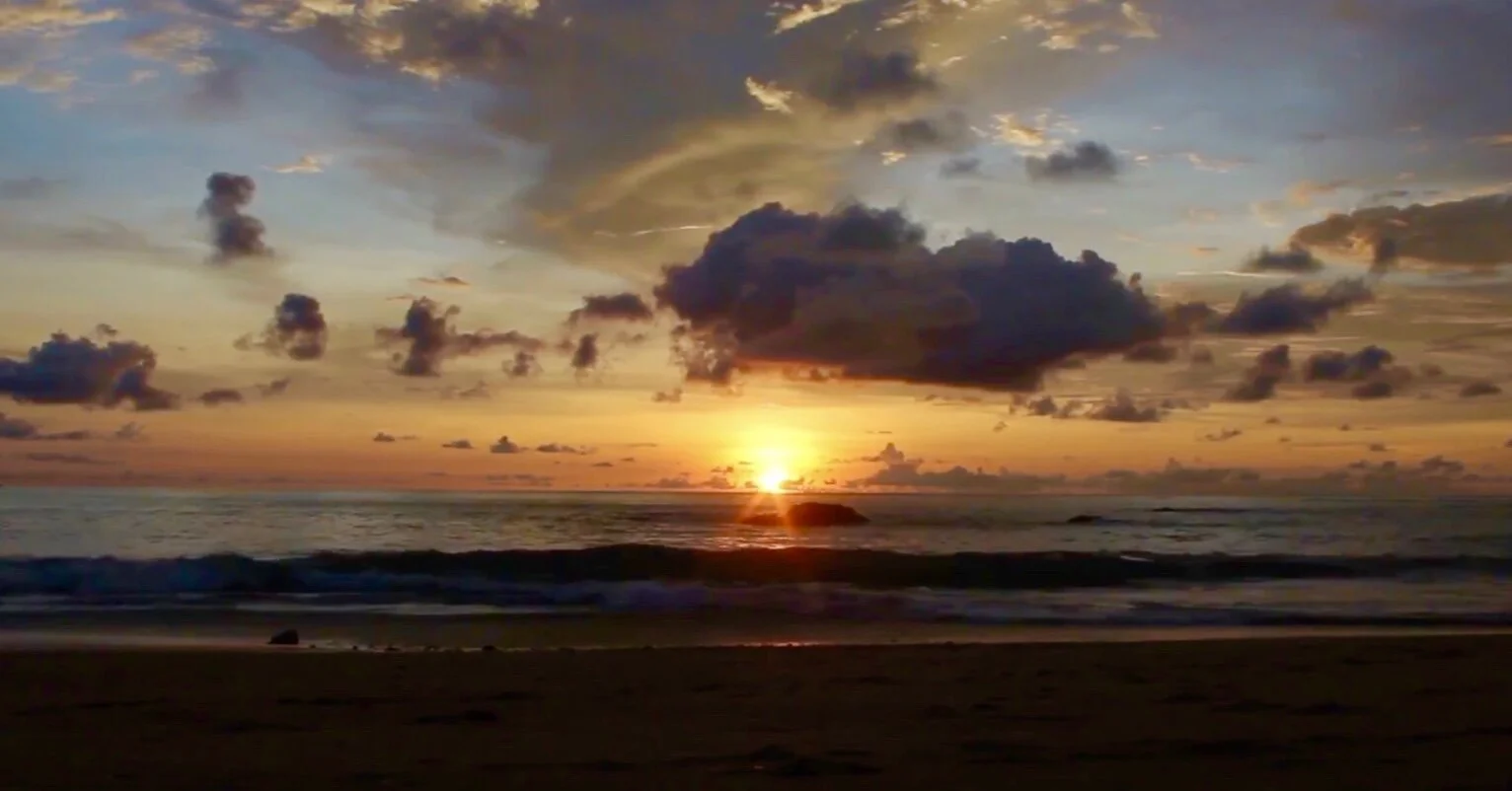 Image 1-1-21 at 12.50 PM.jpeg