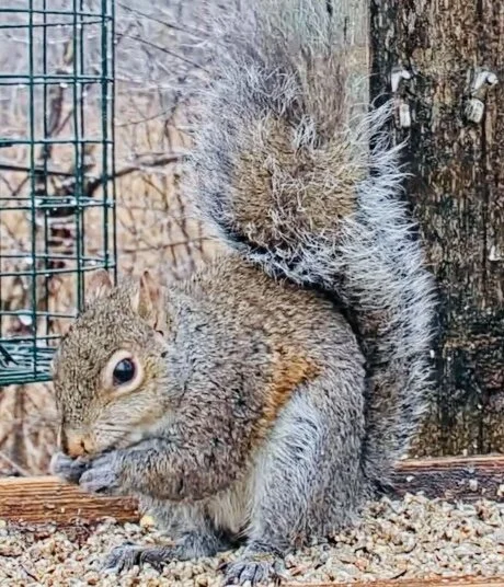 Image 1-1-21 at 2.14 PM.jpeg