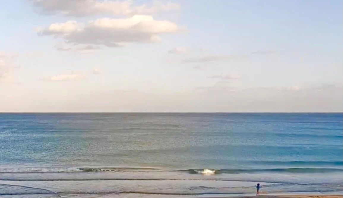 Image 2-2-21 at 1.33 AM.jpeg