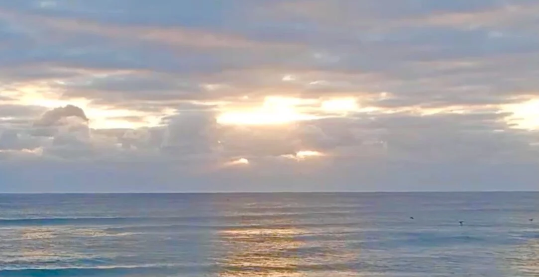 Image 2-2-21 at 2.15 PM.jpeg