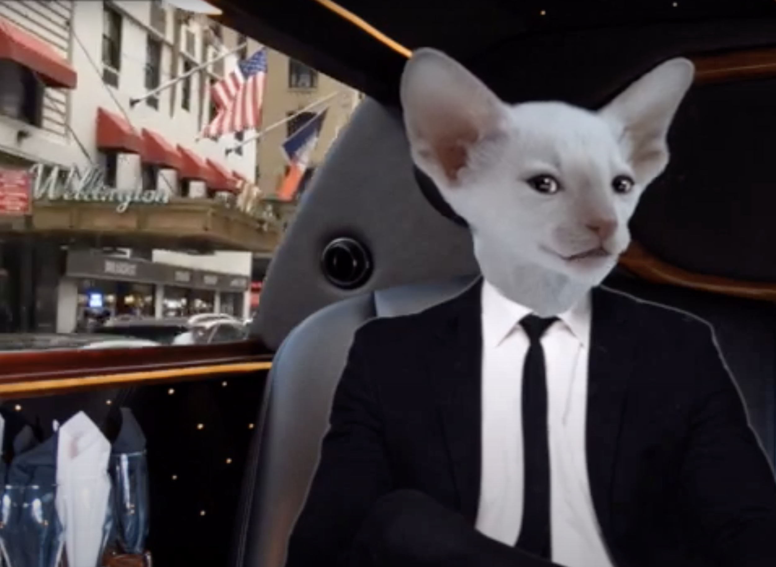 Wellington Hotel.png