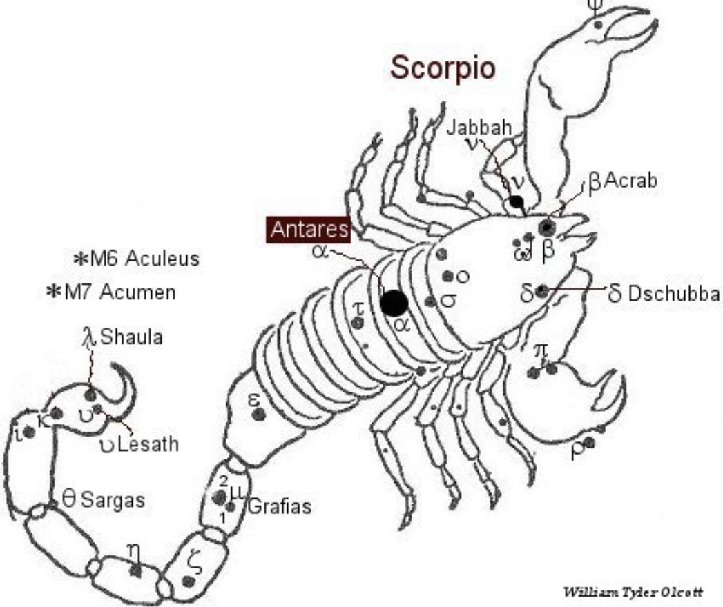 Созвездие скорпиона раскраска