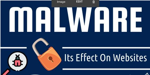 Effects of Malware on Websites [Infographics]