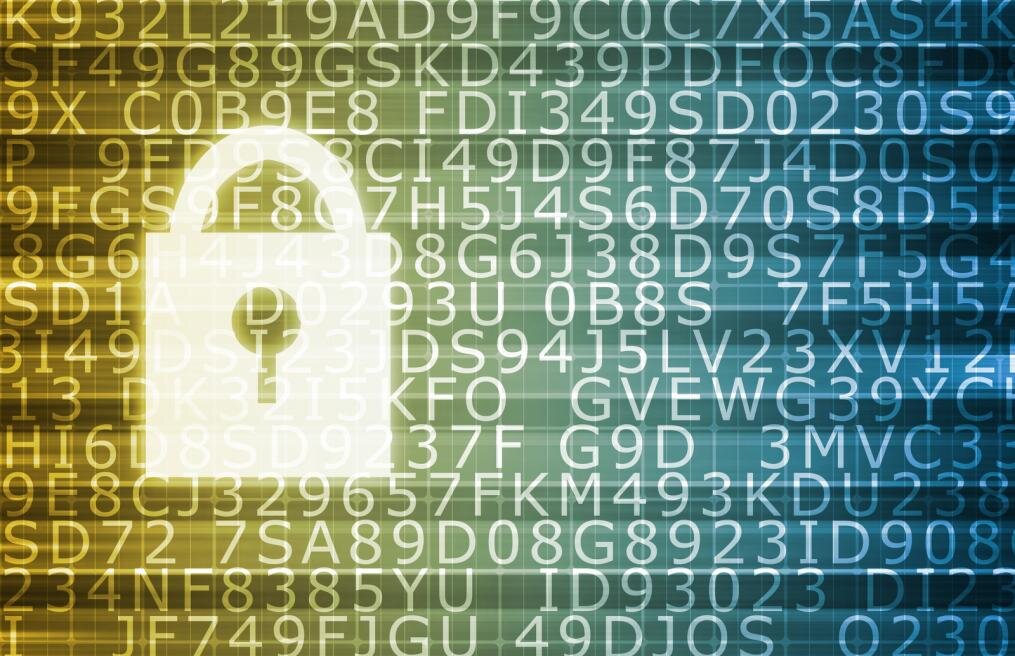 Common Web Security Vulnerabilities and How to Fix Them