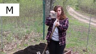 Letter Identification