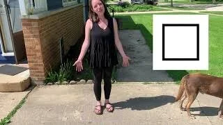 Hopscotch: Fun with Shapes