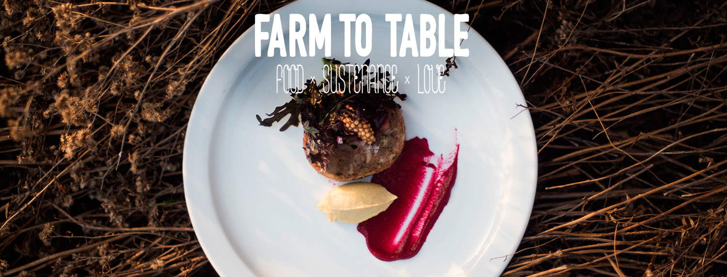 farmtotable2019.jpg