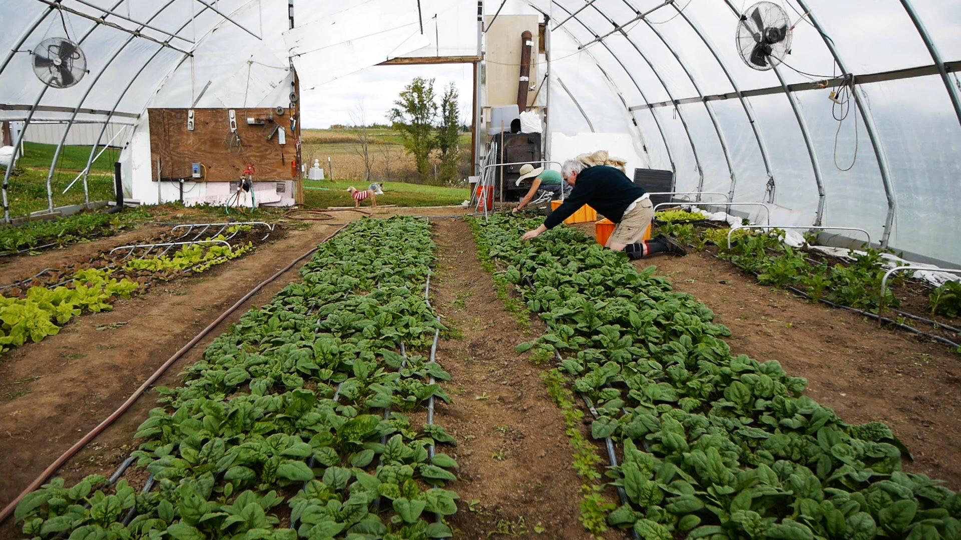 farmtotable01.jpg