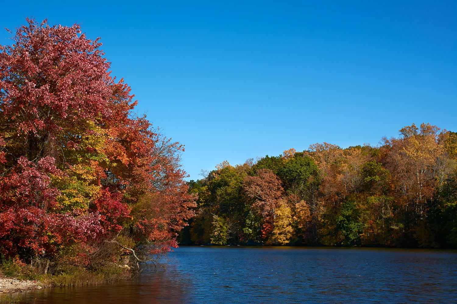 1023Pinchot_DRR2318.jpg