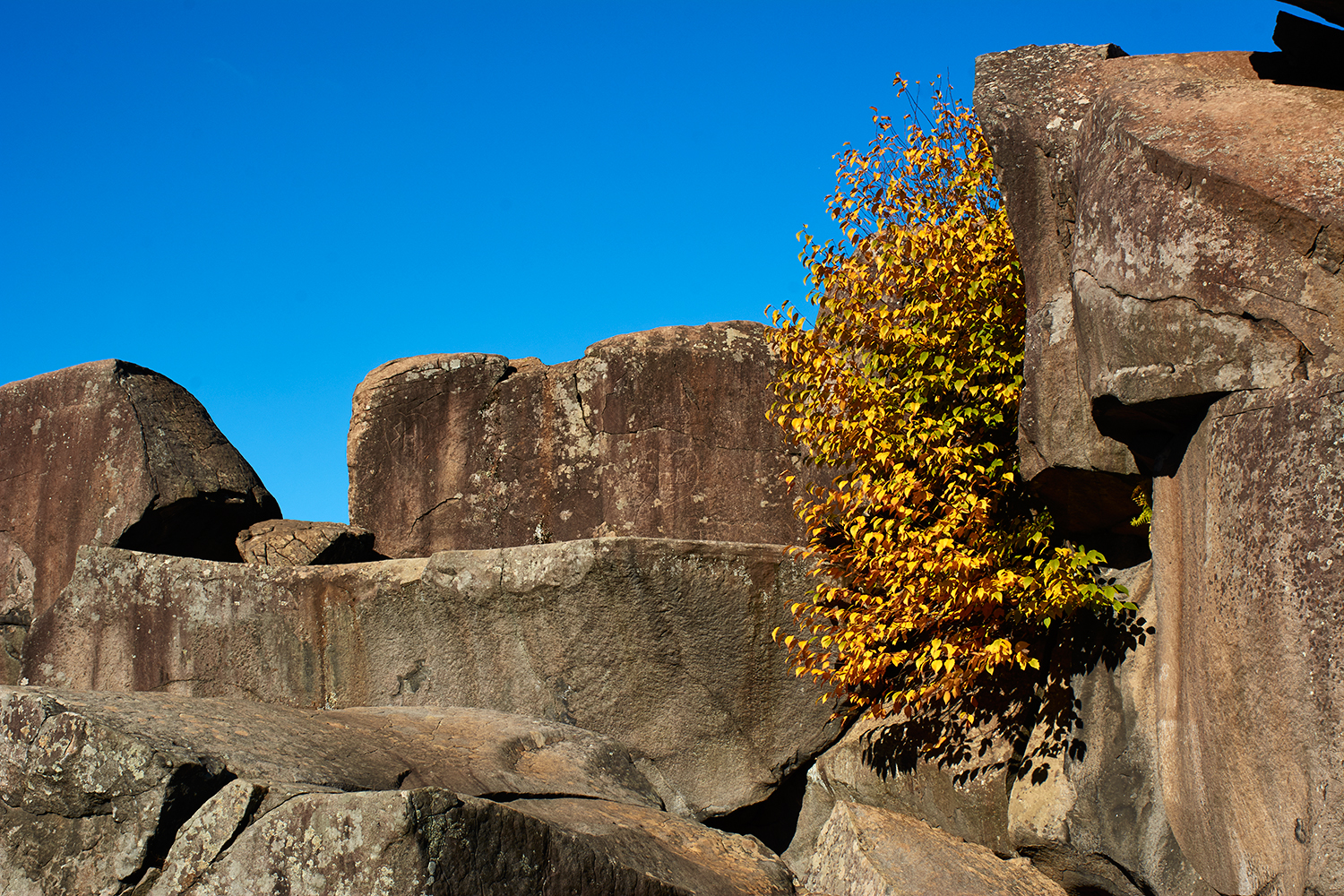 1030Gettysburg_DRR3711.jpg