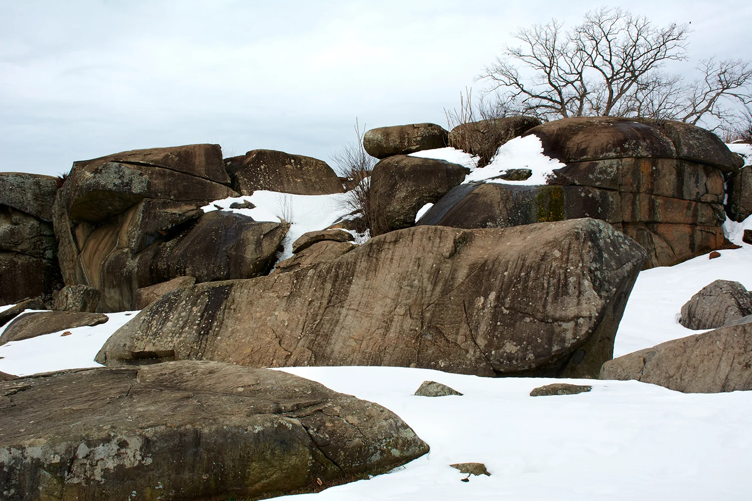 _DRR0259.jpg