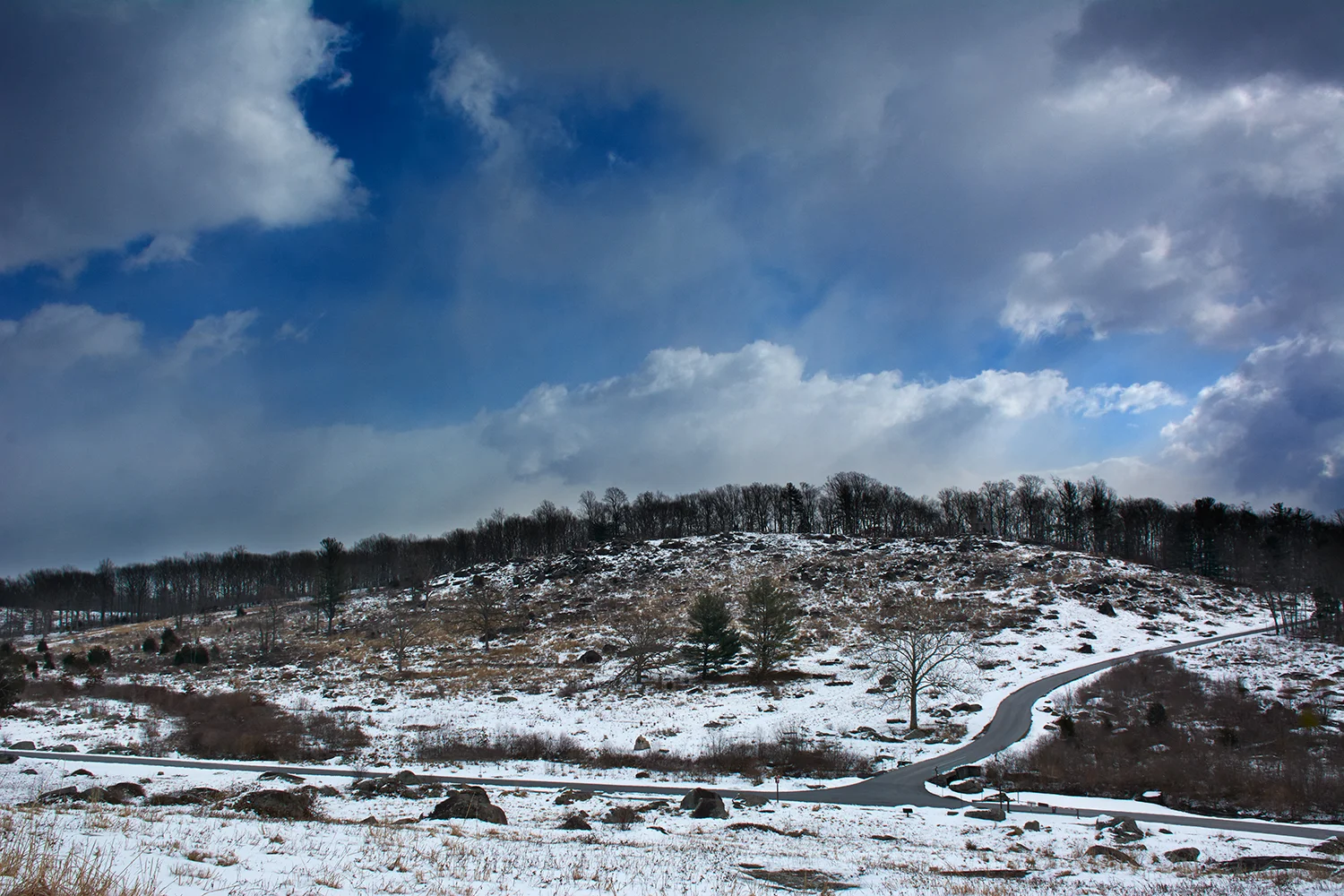_DRR0549.jpg