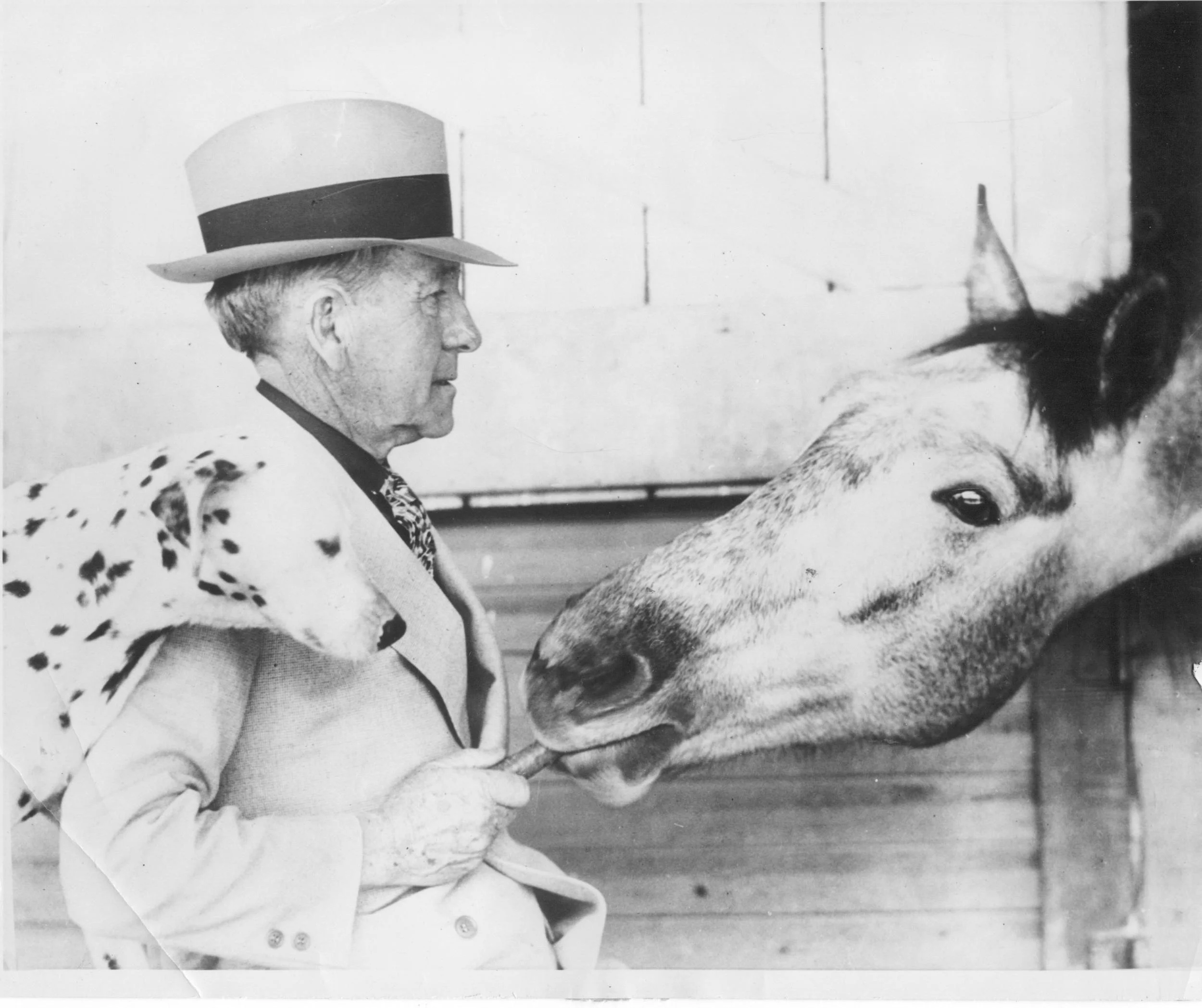 100 Days, 100 Artifacts: 18 - 22