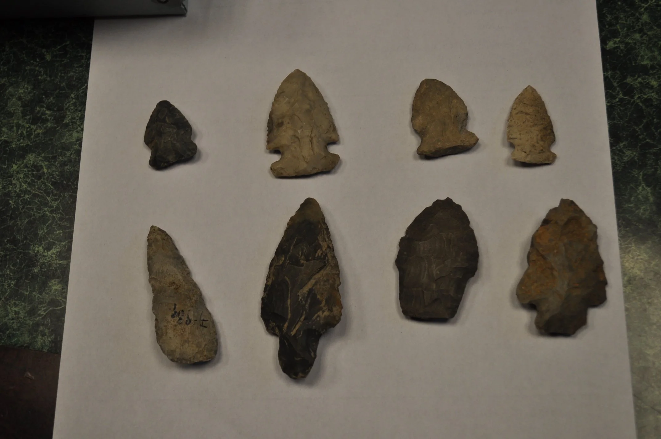 Exhibit Opening:  "Show &amp; Tell" Artifact Exhibit