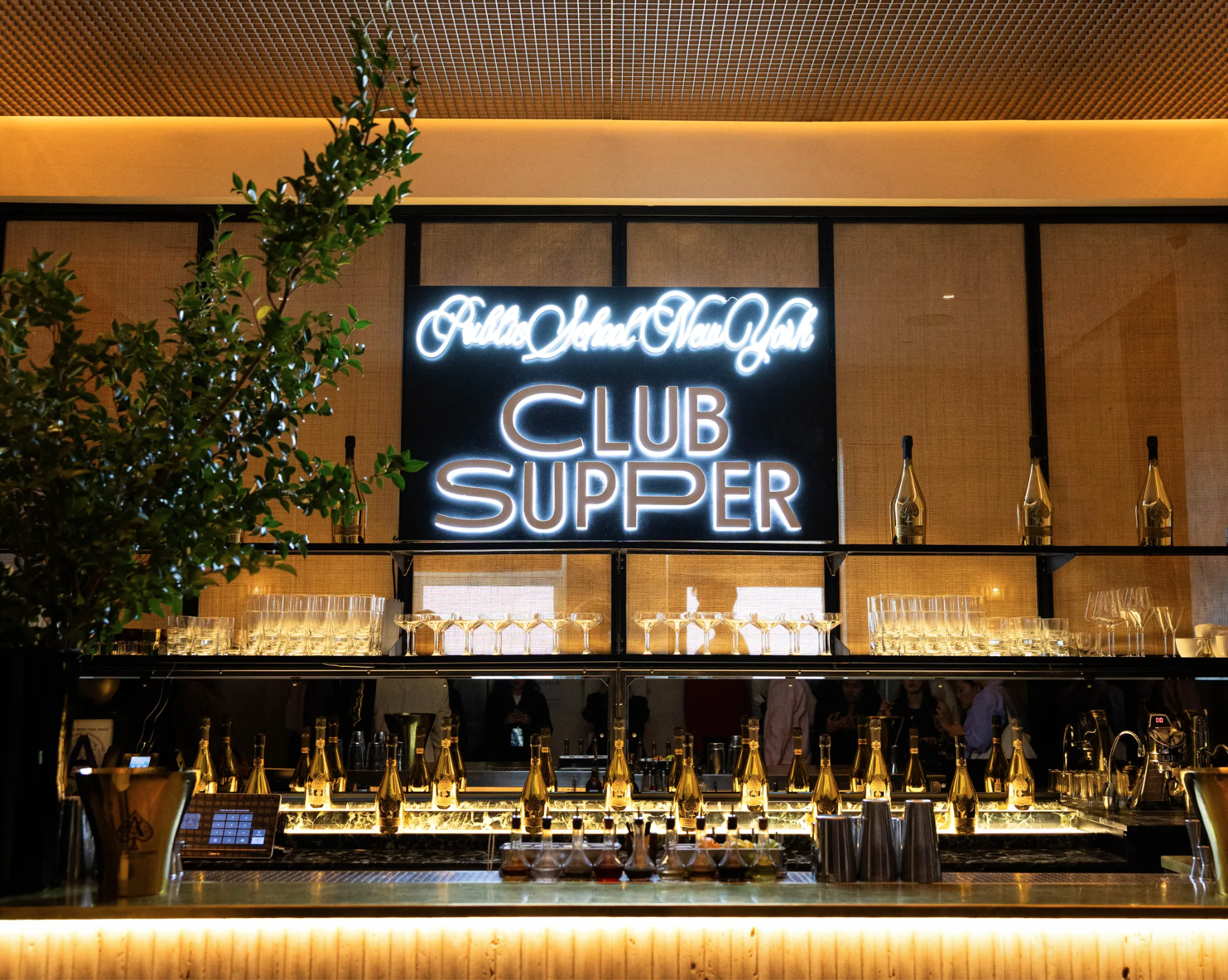 Screen Shot 2026-02-10 at 10.48.34 AM.png